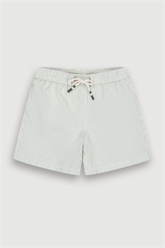 Badshorts Achille Randig (Grön)