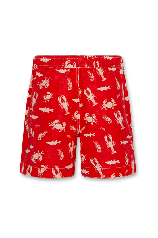 Badshorts Sea Life