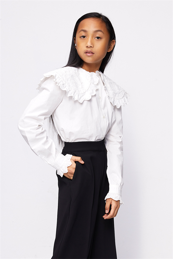 Blus Fran