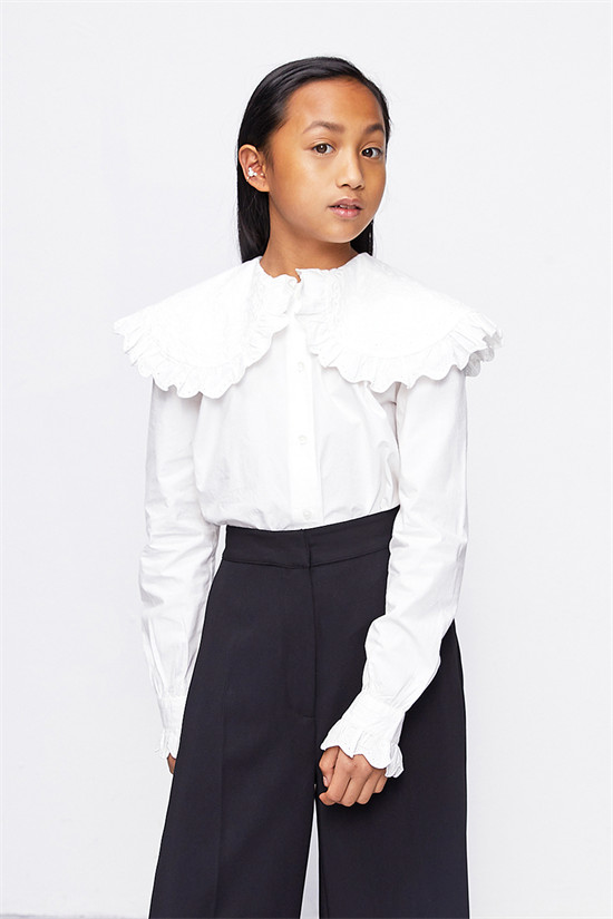 Blus Fran