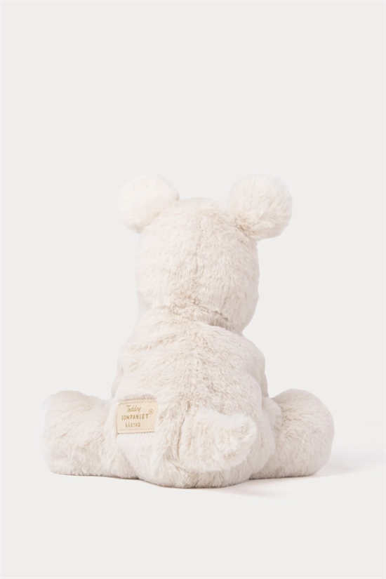 Hund Teddy