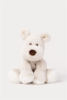 Hund Teddy