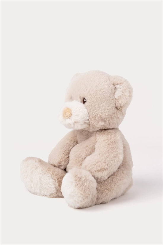 Nalle Teddy