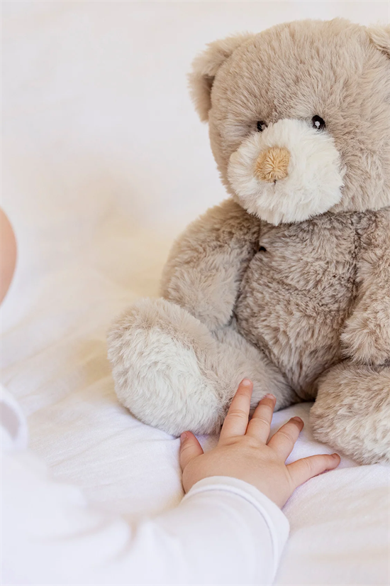 Nalle Teddy
