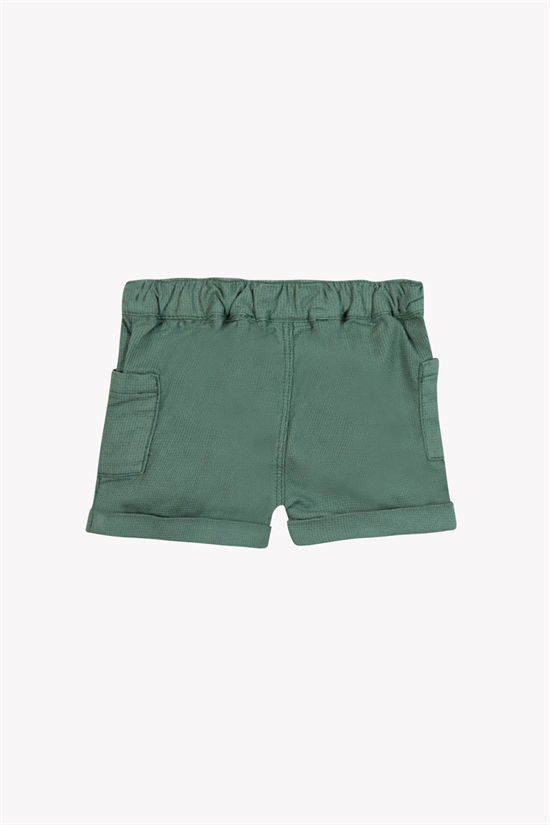 Shorts Cargo