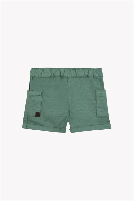 Shorts Cargo