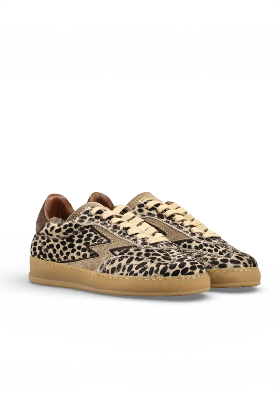 Sneaker Leo