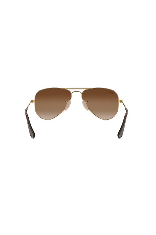 Solglasögon Aviator