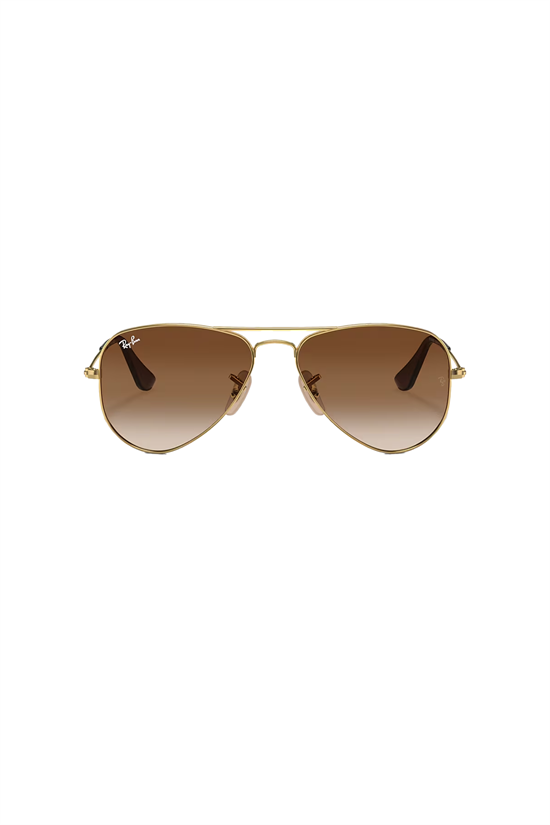 Solglasögon Aviator