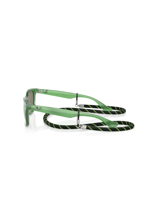Solglasögon New Wayfarer