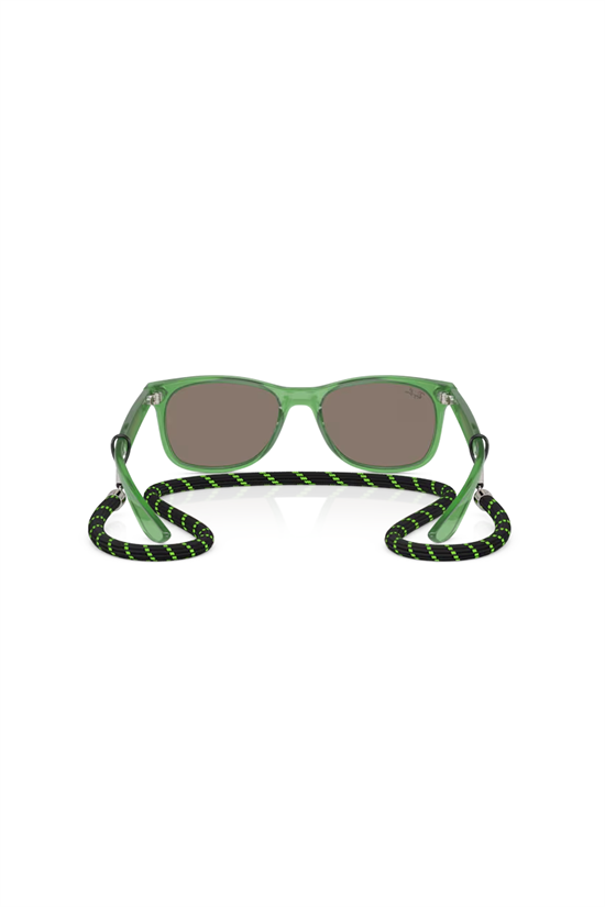 Solglasögon New Wayfarer