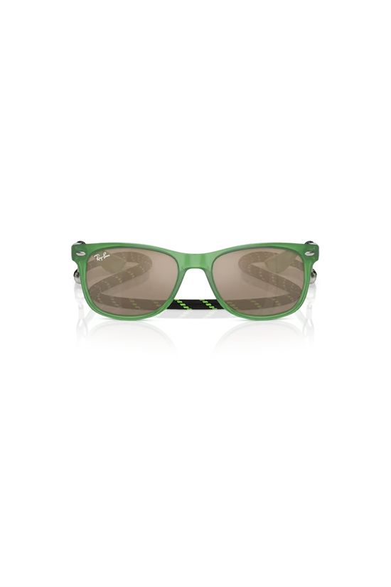 Solglasögon New Wayfarer