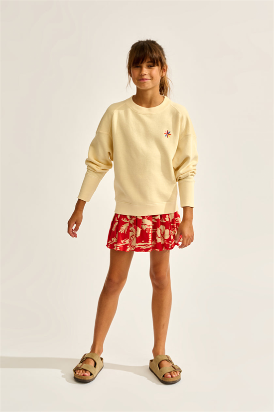 Sweatshirt Fadem
