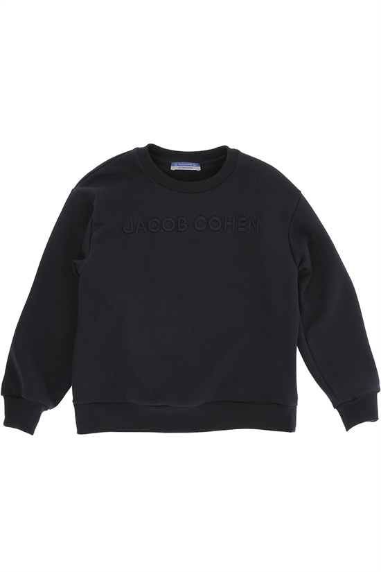 Sweatshirt Logo
