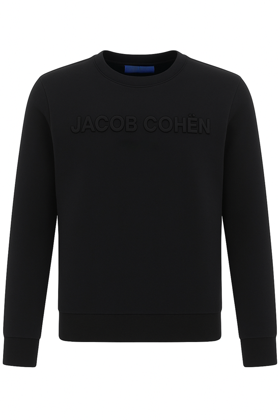 Sweatshirt Logo