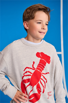 Sweatshirt Oscar - Grå