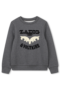 Sweatshirt Simba - Grå