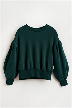 Sweatshirt Valmon - Grön