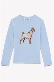 Tröja Hund