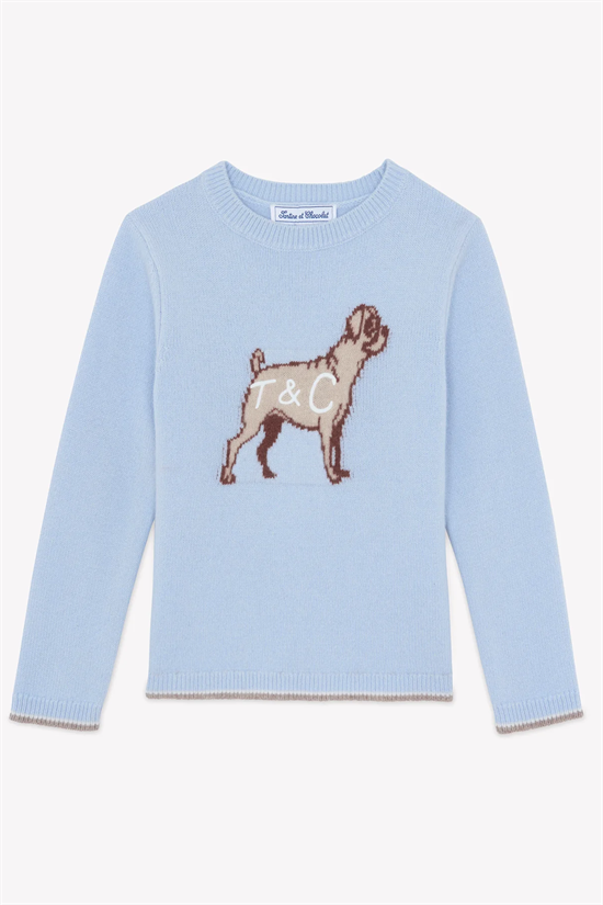 Tröja Hund